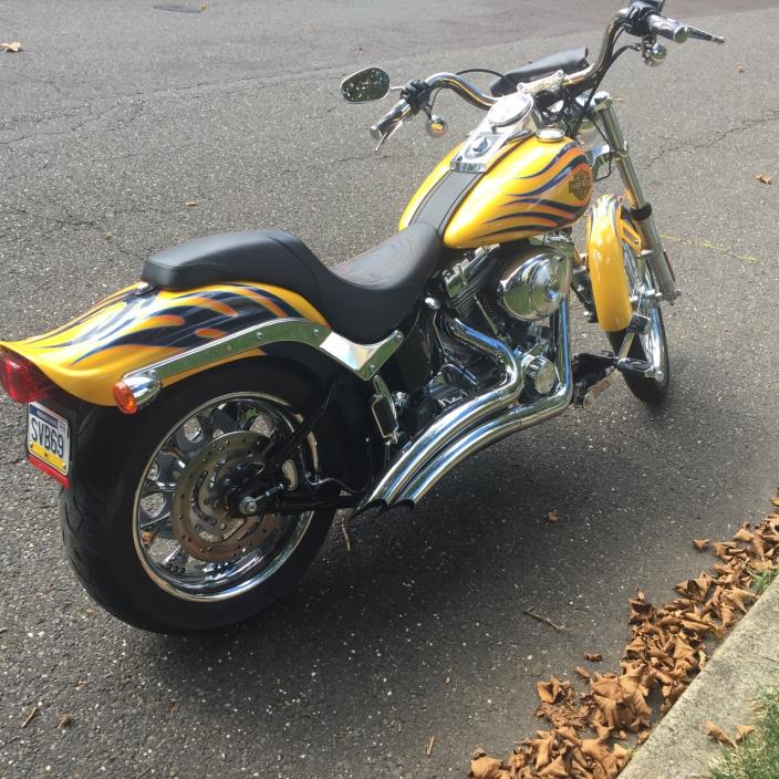 2010 Harley-Davidson HERITAGE SOFTAIL CLASSIC