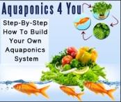 5 Ways To Create A Better  Aquaponic System