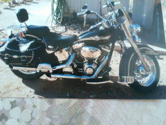 1994 Harley-Davidson FXSTS Softail Springer