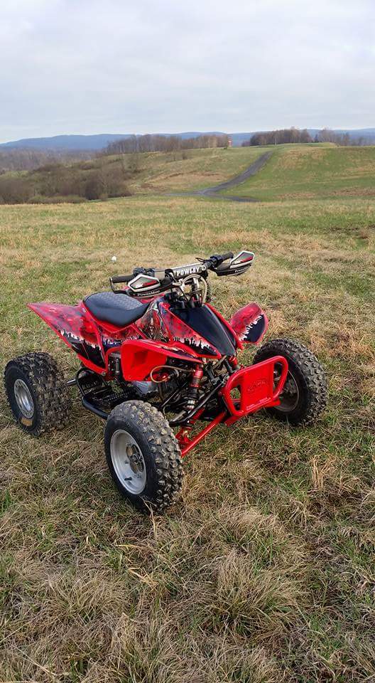 2006 Honda TRX 90