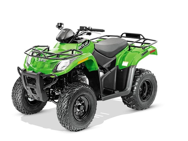 2016 Arctic Cat 300