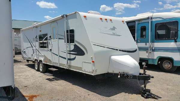 2007  Palomino  Thoroughbred T-265