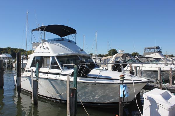 1978 Bertram 33 Flybridge Cruiser