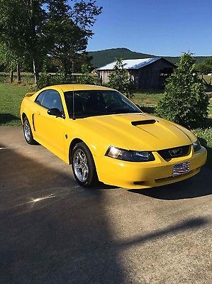 2004 Ford Mustang GT Premium 2004 Ford Mustang GT Premium