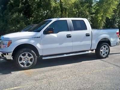 2013 Ford F-150 XLT Crew Cab Pickup 4-Door 2013 Ford F-150 XLT Crew Cab Pickup 4-Door 5.0L