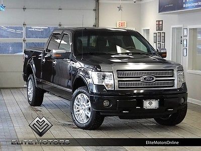 2010 Ford F-150  10 f150 platinum supercrew crew auto navi gps sony roof heated cooled v8 5.4