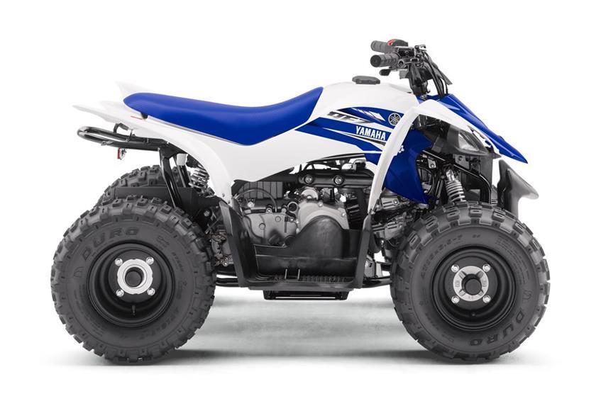 2017 Yamaha RAPTOR 50