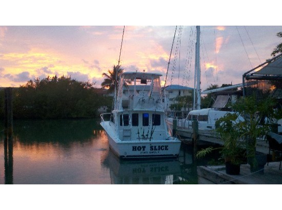 1995 Luhrs 320 Tournament Convertible