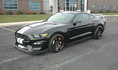 2017 Ford Mustang Shelby GT350R Coupe 2-Door 2017 Mustang Shelby GT350R HR176 
