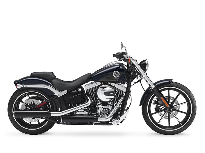 2013 Harley-Davidson FLSTN - Softail Deluxe