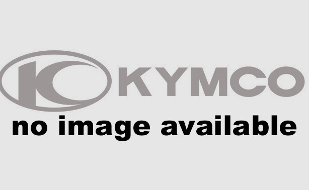 2016 Kymco Mongoose 270