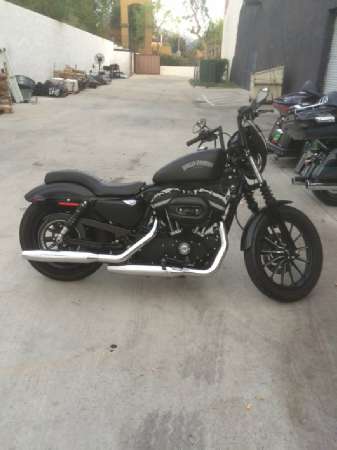 2013  Harley-Davidson  xl883n