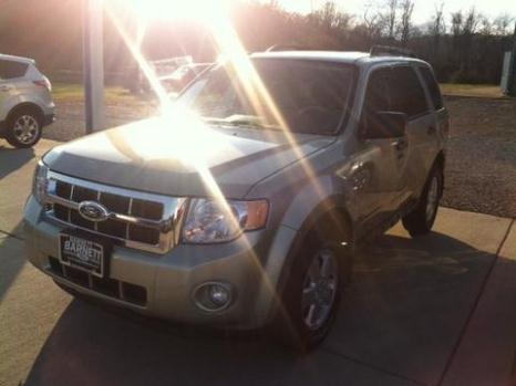 2010 Ford Escape XLT