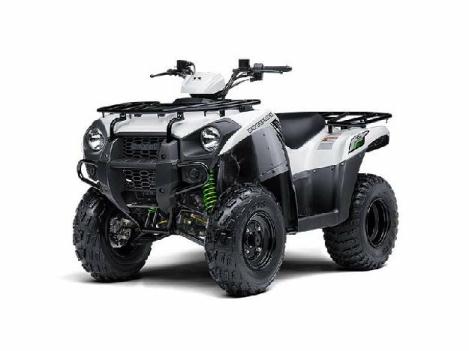 2015 Kawasaki Brute Force 300