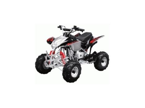 2014 Taotao Brand New 110cc Black Assassin Fully Auto 4 Stroke ATV H4