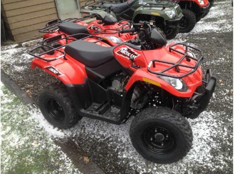 2015 Arctic Cat 300