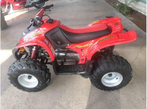 2006 Can-Am DS90 2-Stroke