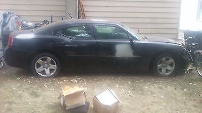 Dodge : Charger 2008 dodge charger