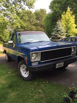 Chevrolet : S-10 1976 chevy pick up