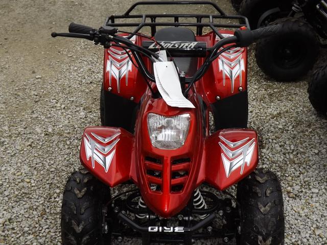2015 Coolster Coolster Brand New 110cc Fully Automatic Mini Size ATV