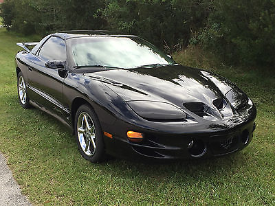 Pontiac : Trans Am Fire Hawk 1999 pontiac trans am fire hawk hurst 6 speed triple black very rare