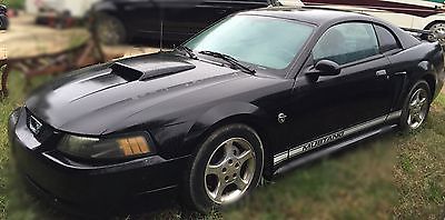Ford : Mustang 2004 ford mustang