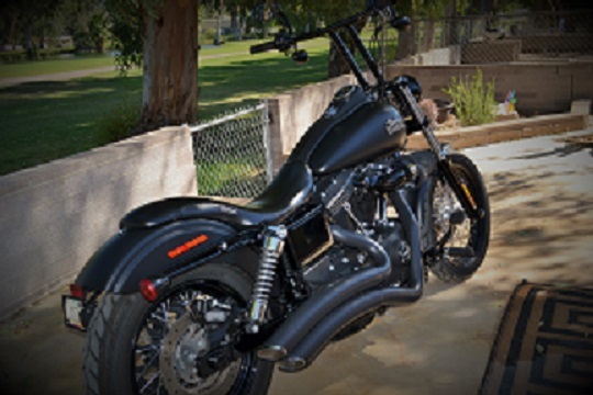 2008 Harley-Davidson ELECTRA GLIDE ULTRA CLASSIC