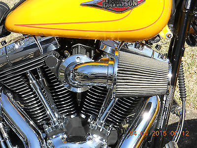 Harley-Davidson : Softail 2011 harley davidson heritage softail classic