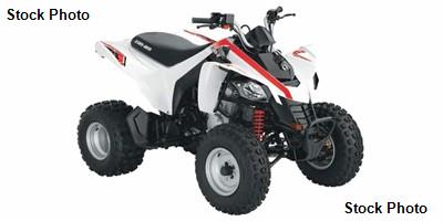2009 Can-Am DS DS250