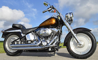 Harley-Davidson : Softail 5 500 in extras 2005 harley davidson custom fatboy 15 th anniversary flstfi