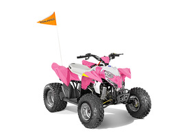 2008 Polaris RZR 800 50