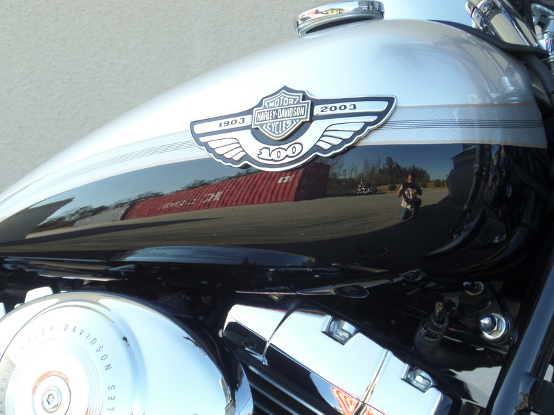 2003 Harley-Davidson DEUCE™