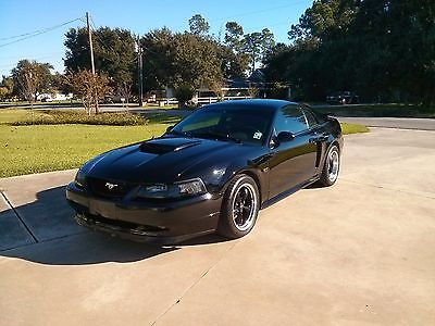 Ford : Mustang GT Ford Mustang
