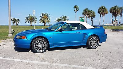 Ford : Mustang gt ford mustang gt