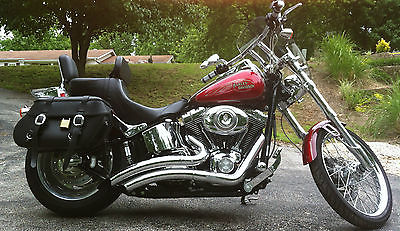 Harley-Davidson : Softail 2008 harley davidson fxstc softail custom 17000
