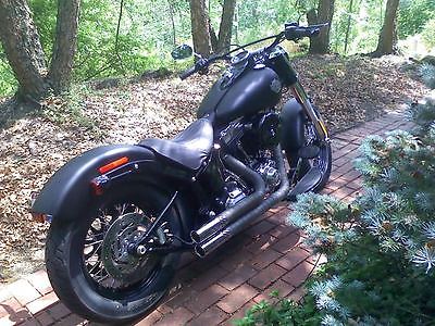 Harley-Davidson : Softail Motorcycle