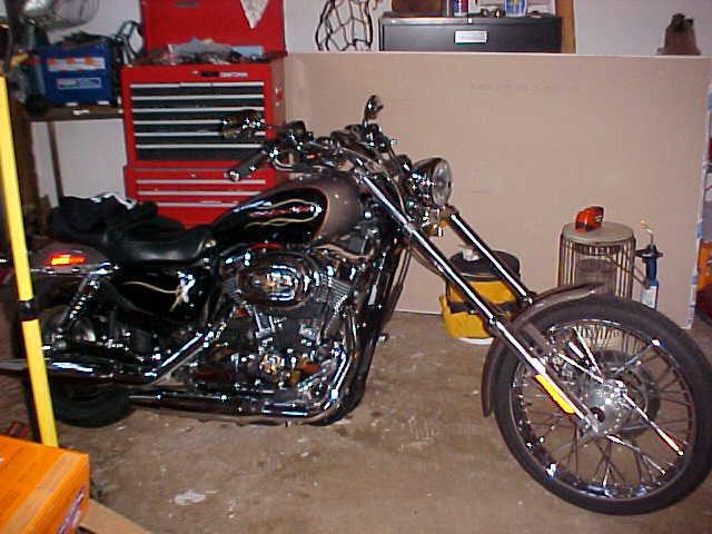 2005 Harley-Davidson Sportster 1200 CUSTOM