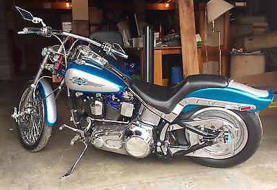 Harley-Davidson : Softail 1995 harley davidson softail lowered plus extras priced to sell