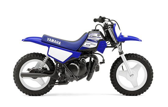 2015 Yamaha Zuma 125