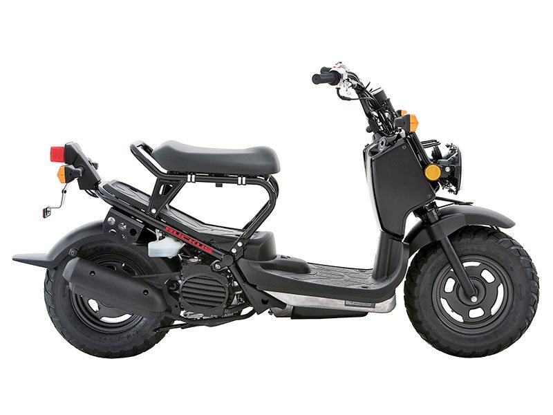 2014 Honda Ruckus (NPS50)