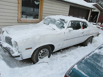 Oldsmobile : Other 1973 olds omega very rare car called dr olds omega 350 rocket 4 barrel carb