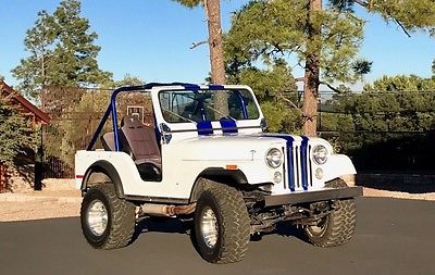 1979 Jeep CJ Cj5 1979 JEEP CJ5