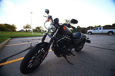 2015 Harley-Davidson Touring  harley davidson 2015 XL883N IRON