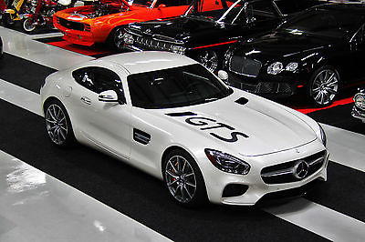 2017 Mercedes-Benz Other AMG GT-S 2017 Mercedes AMG GT S Only 573 Miles