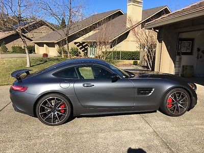 2016 Mercedes-Benz Other S Edition 1 package Mercedes AMG GTS