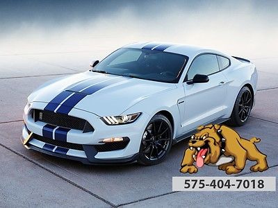 2017 Ford Mustang Shelby 2017 Ford Mustang Shelby 3 Miles Race Red 2D Coupe V8 Tremec 6-Speed Manual