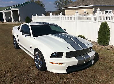 2007 Ford Mustang 2 DR-COUPE Ford Shelby GT Mustang