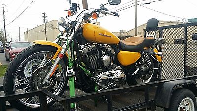 2006 Harley-Davidson Sportster  2006 Custom