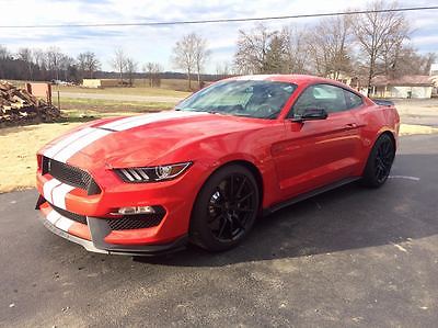 2017 Ford Mustang Shelby GT350 Coupe 2-Door 2017 Ford Mustang Shelby GT350 Fastback Manual