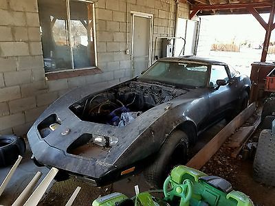 1977 Chevrolet Corvette  1977 corvette